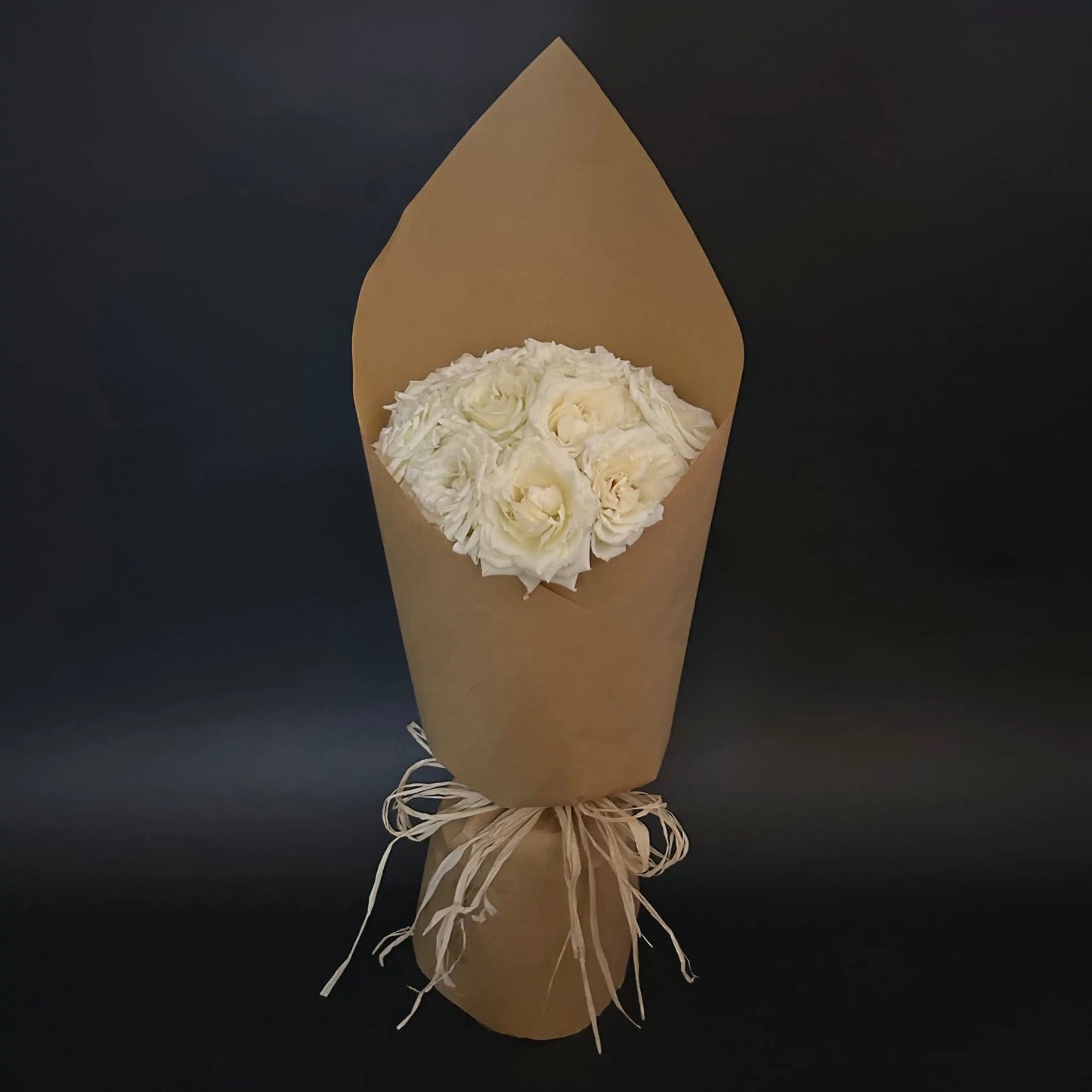 Roses blanches vue plongeante